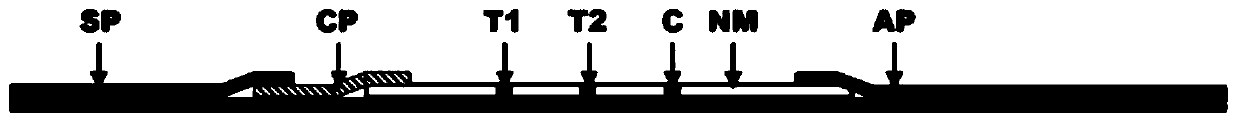 A kit for detecting methylation at the 5' end of gp5 gene and its detection method