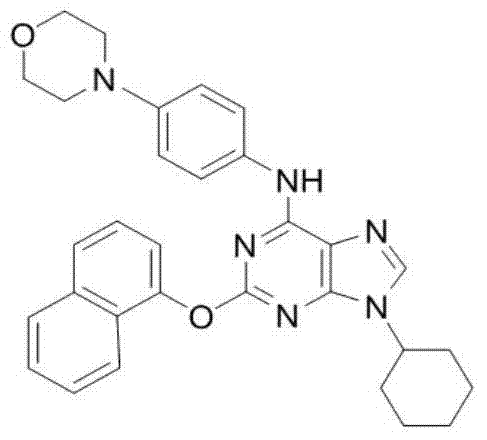 Application of purmorphamine to preparation of drug for preventing/treating ischemic cerebrovascular diseases