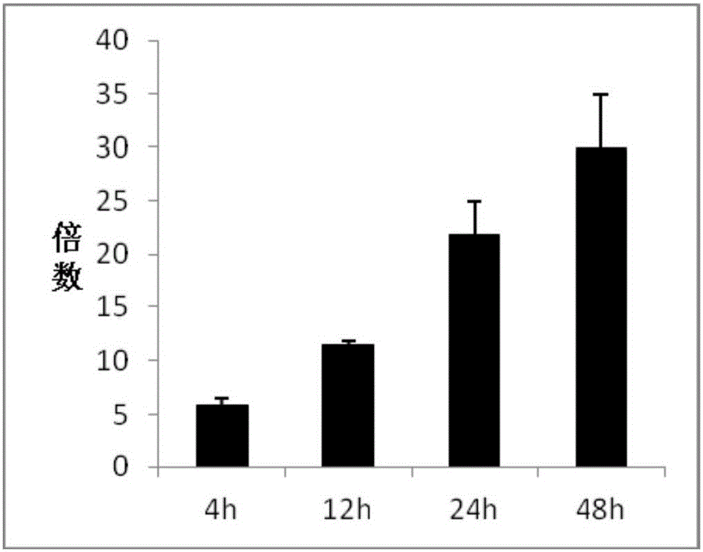 Humanized recombinant vector and cell for dioxin-type substance biological detection