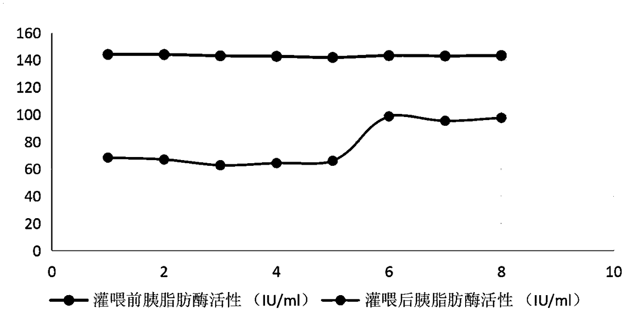Thallus laminariae oolong tea capable of reducing fat for teenagers, and preparation method of thallus laminariae oolong tea