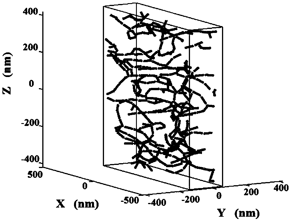 Magnetofluid raster simulated based on nonspherical molecular dynamics and simulation method thereof