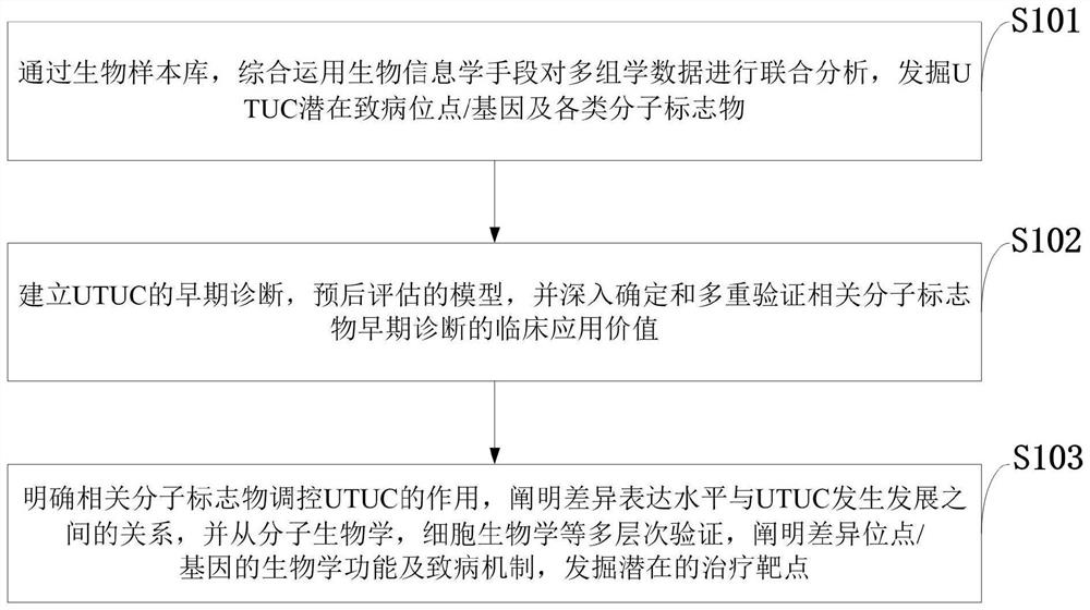 Diagnostic marker for upper urinary tract epithelial cancer and application of diagnostic marker