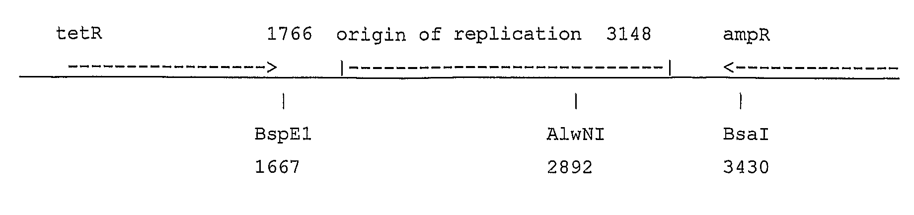 Hybrid portable origin of replication plasmids