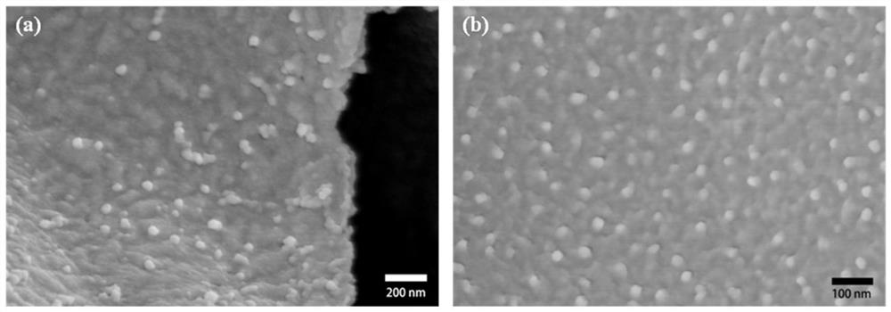 A kind of carbon-based/pani composite electrode material for supercapacitor and preparation method thereof