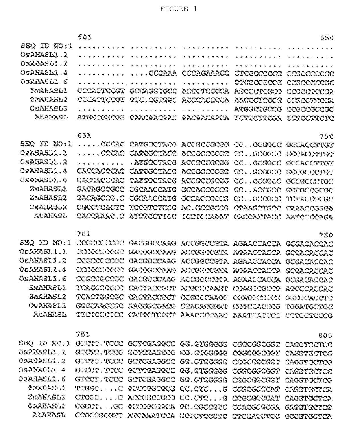 Herbicide-resistant rice plants, polynucleotides encoding herbicide-resistant acetohydroxyacid synthase large subunit proteins, and methods of use