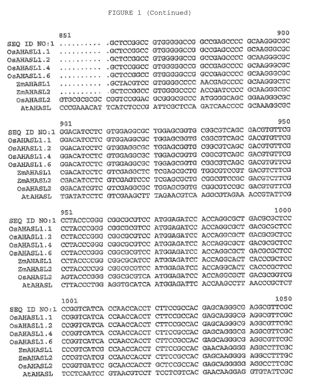 Herbicide-resistant rice plants, polynucleotides encoding herbicide-resistant acetohydroxyacid synthase large subunit proteins, and methods of use