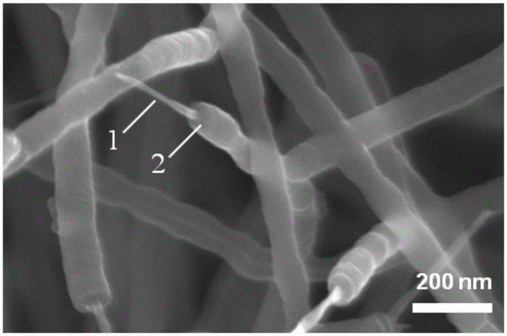 A kind of carbon nanotube/polypyrrole composite sponge and preparation method thereof