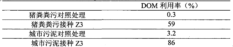 Acid-resistance heterotrophic bacterium strain Z3 used for bioleaching treatment of sludge and livestock and poultry manure