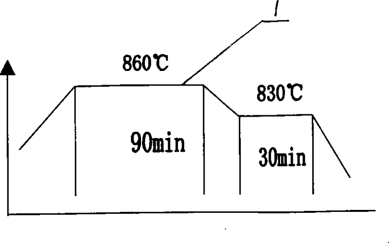 Organic rare-earth energizer for chemical heat treatment