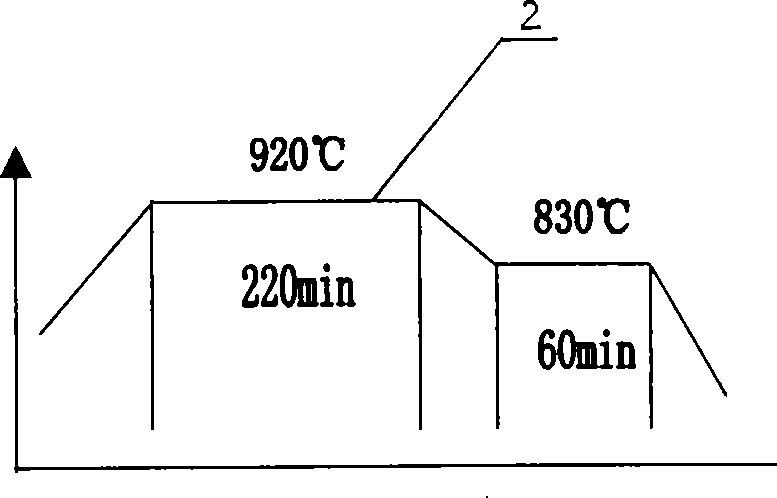 Organic rare-earth energizer for chemical heat treatment