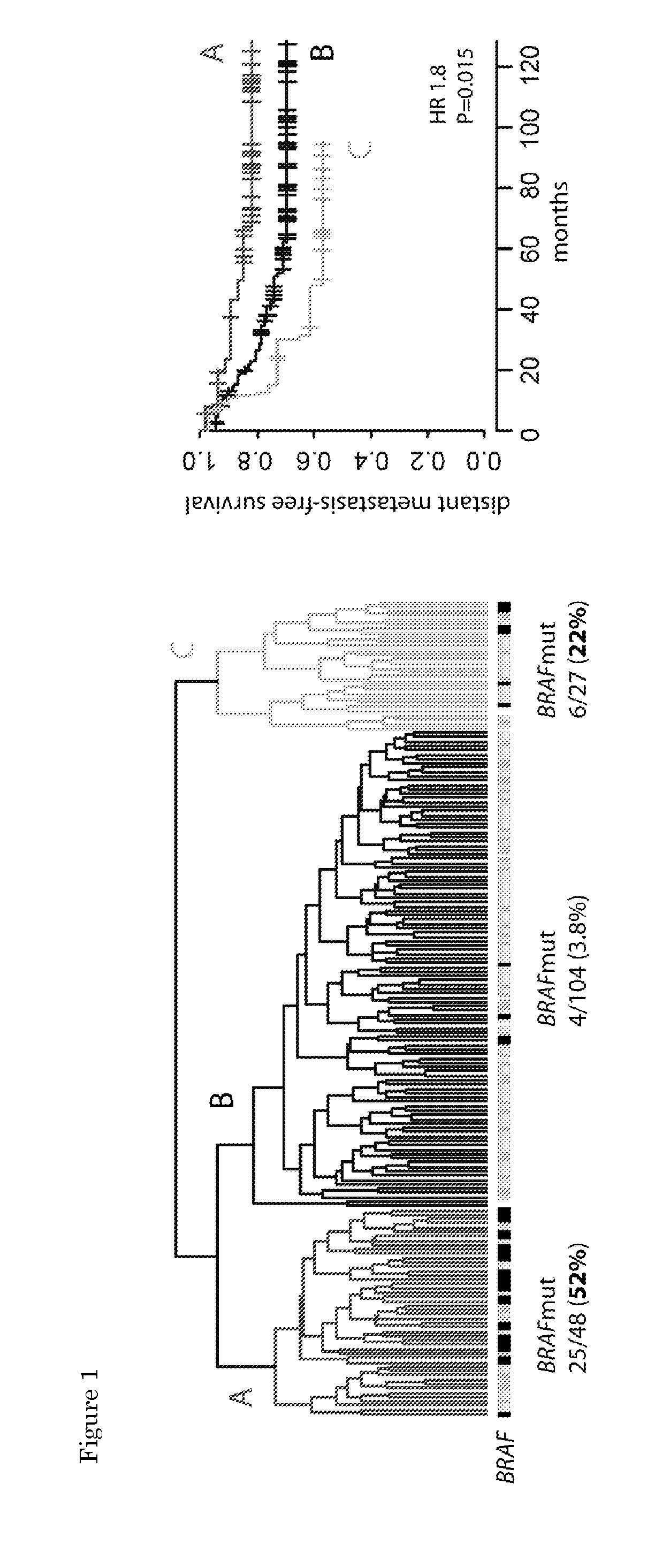 Methods and means for typing a sample comprising colorectal cancer cells