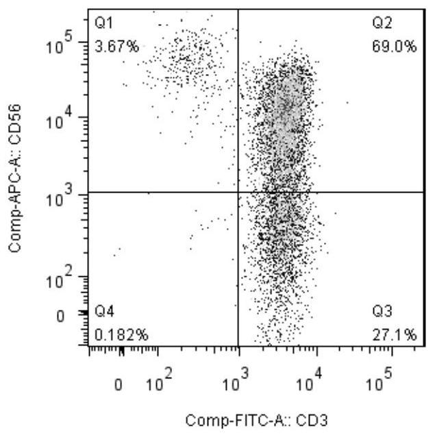 dc-cik co-cultured cells and its preparation method, sensitizing antigen and application