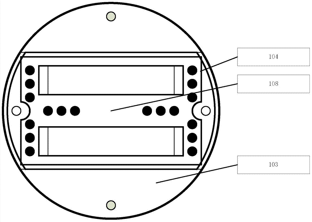 Detection device for electrochemical immune biosensor and detection and analysis method