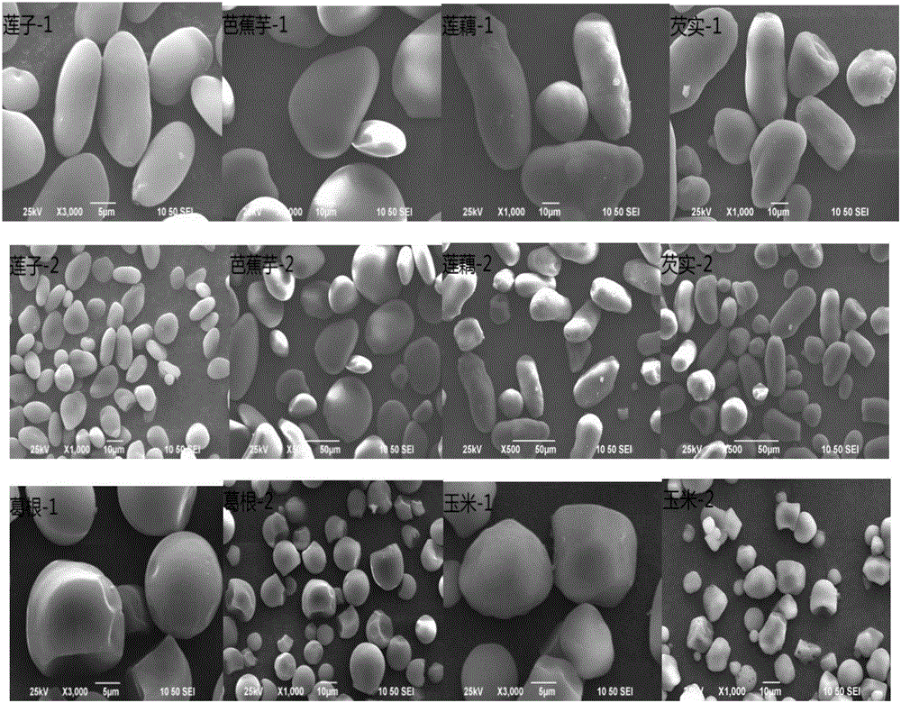 Method for rapidly, qualitatively and quantitatively detecting five types of edible starch adulteration
