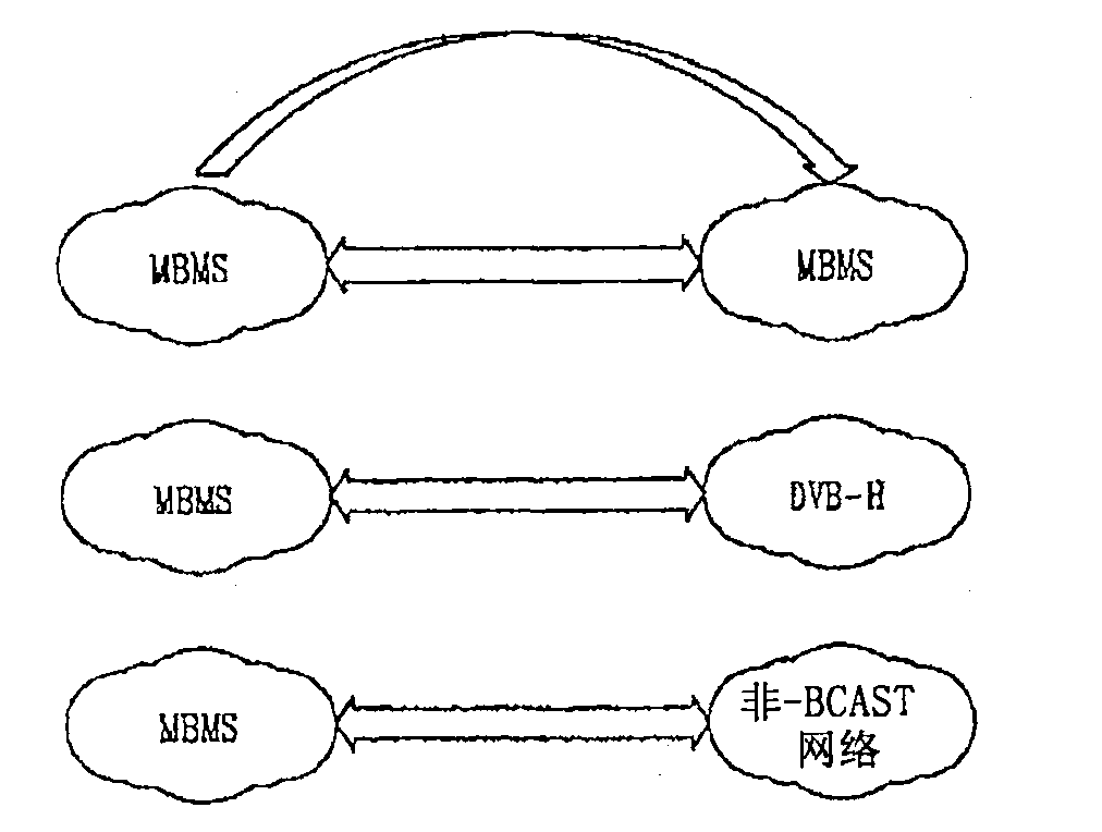 Broadcast/multicast service system and method providing inter-network roaming