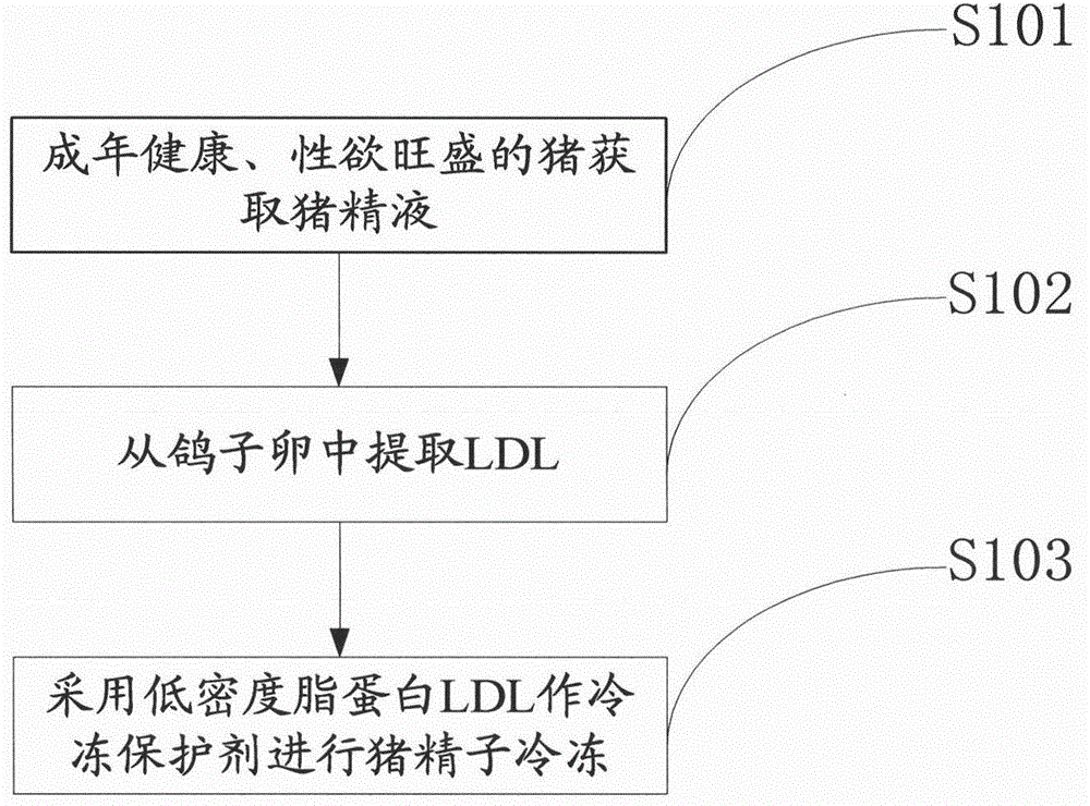 Method for improving integrity of cytoskeletons after freeze thawing of preserved boar sperm