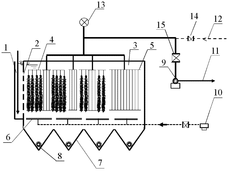 Integrated reactor and method for removing ammonia nitrogen in drinking water