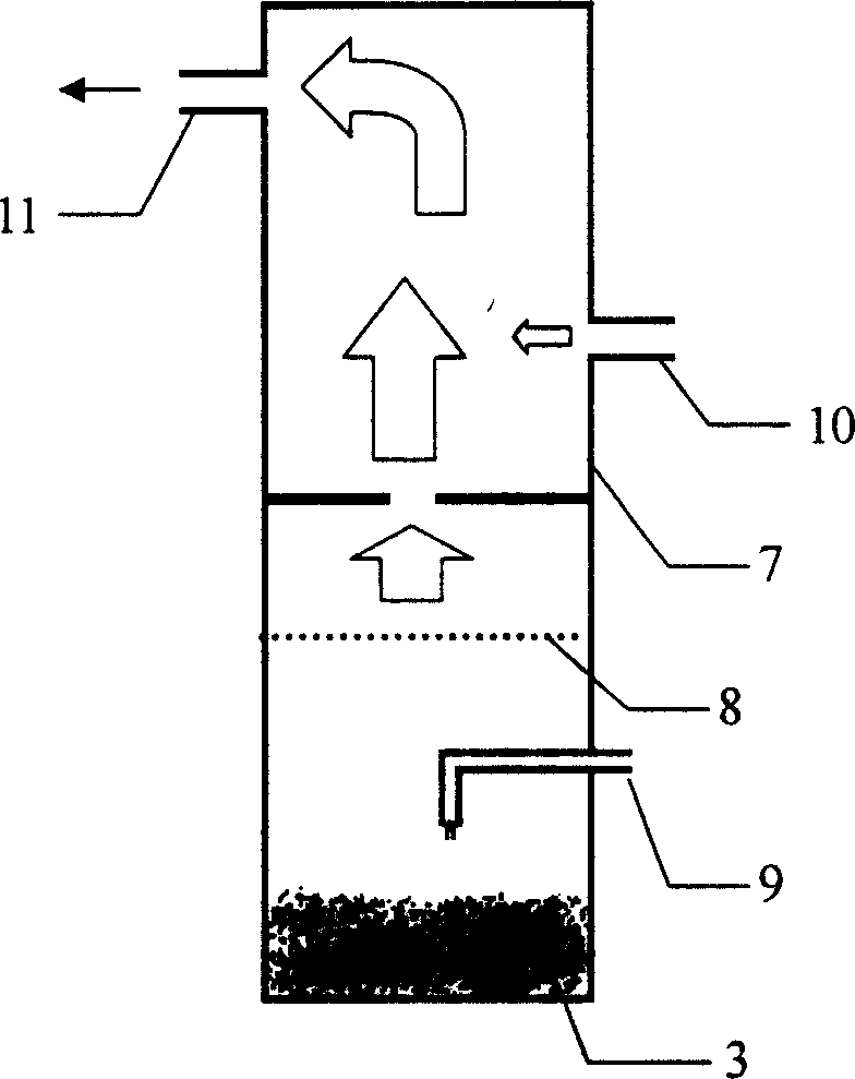 Preparation method of large surface area carbon nano pipe film for field emitting display cathode
