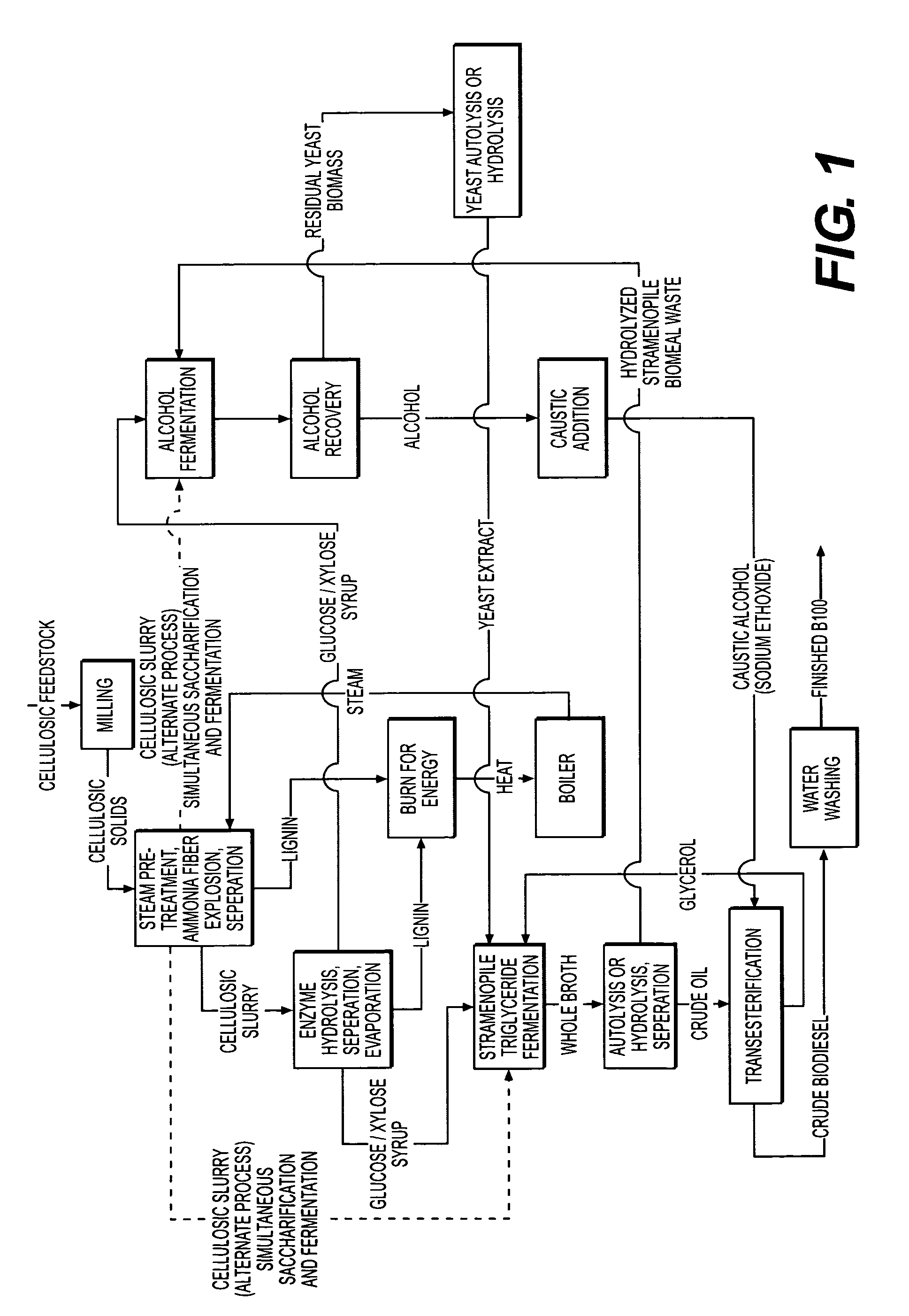 Biological oils and production and uses Thereof