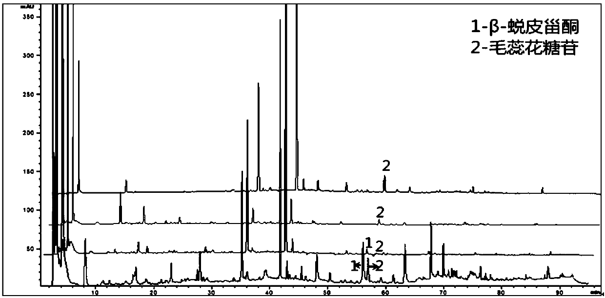 HPLC (high-performance liquid chromatography) fingerprint spectrum measurement method for standard Yunujian decoction