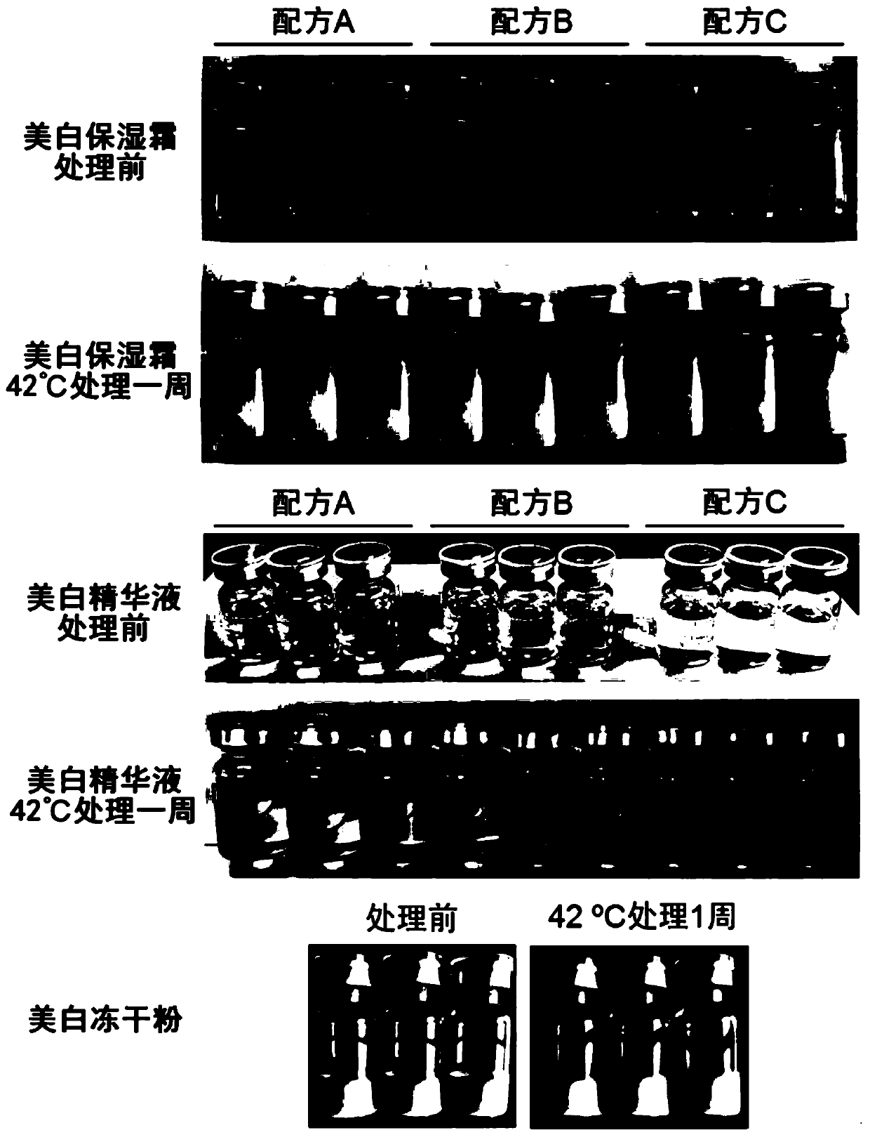 Freeze-dried powder having whitening activity and preparation method and application of freeze-dried powder
