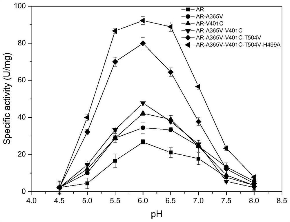 Pullulanase mutant, engineering bacterium and application of pullulanase mutant