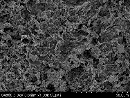 Porous heavy metal ion adsorbent based on biochar and preparation method of porous heavy metal ion adsorbent