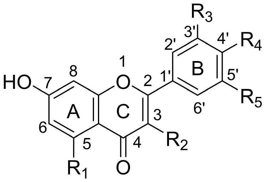 Application of flavonoid compound to preparation of beta-lactamase inhibitor