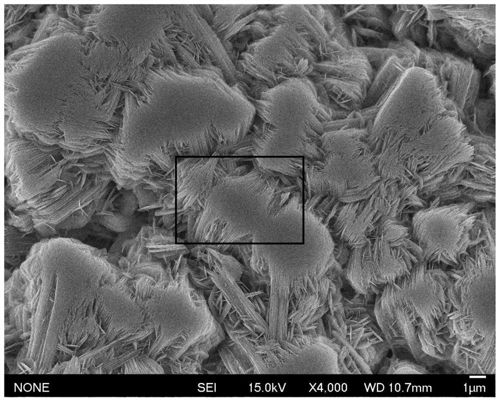 A method for preparing ultra-thin nanosheet-shaped nh4v3o8 nanomaterials by ultra-high pressure