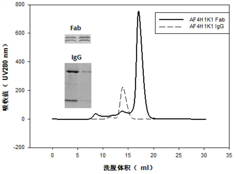 A kind of influenza virus antibody, its preparation method and application