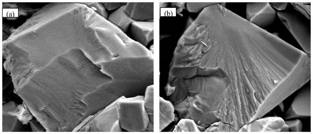 Detection and Characterization Methods of Intergranular Fracture and Transgranular Fracture of WC Grain in WC-Co Alloy