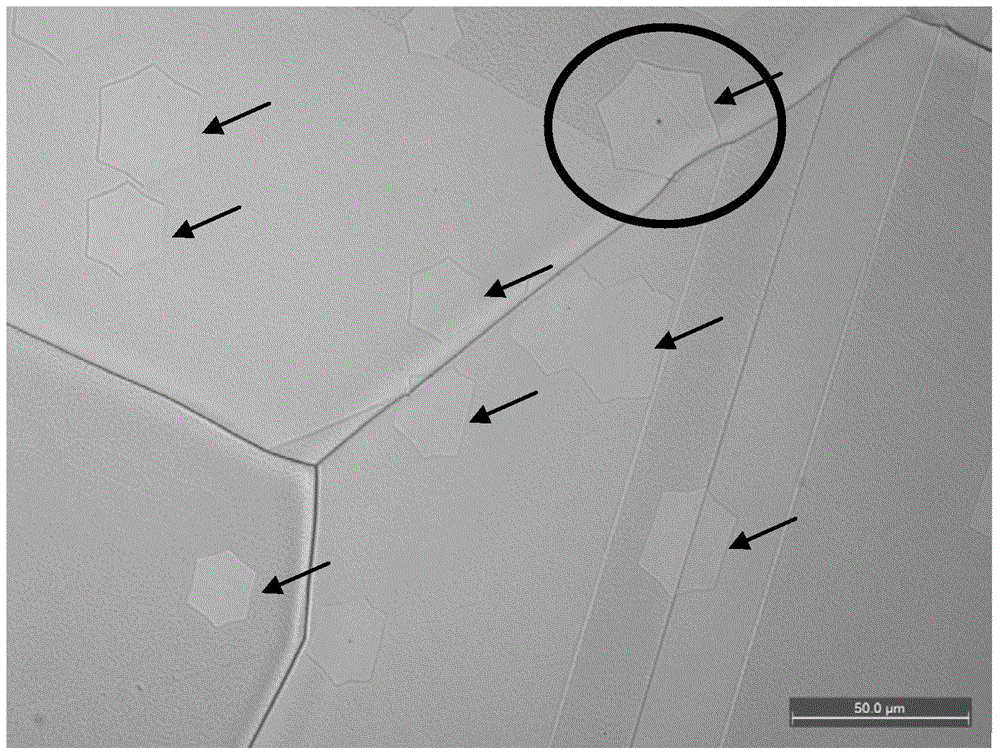 Graphene characterization method