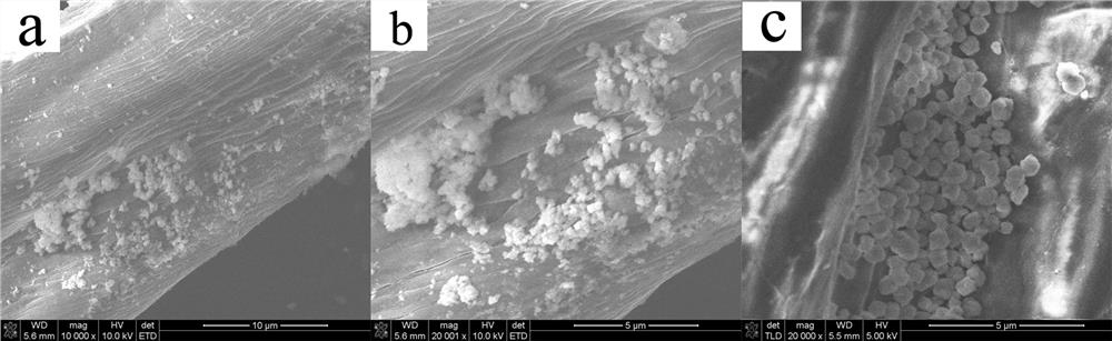 Calamine hemostatic compound based on Y molecular sieve carrier and preparation thereof