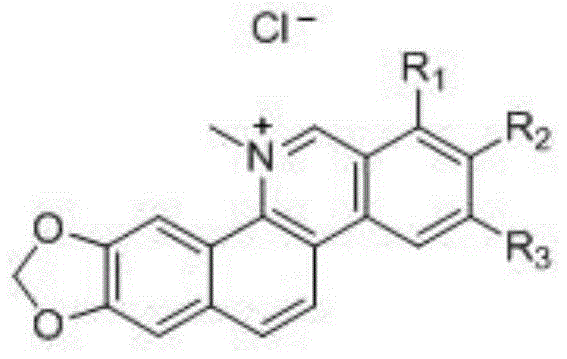 Nitidine chloride, derivative thereof, and applications of nitidine chloride and derivative of nitidine chloride in preparing medicines used for preventing and treating dermatosis