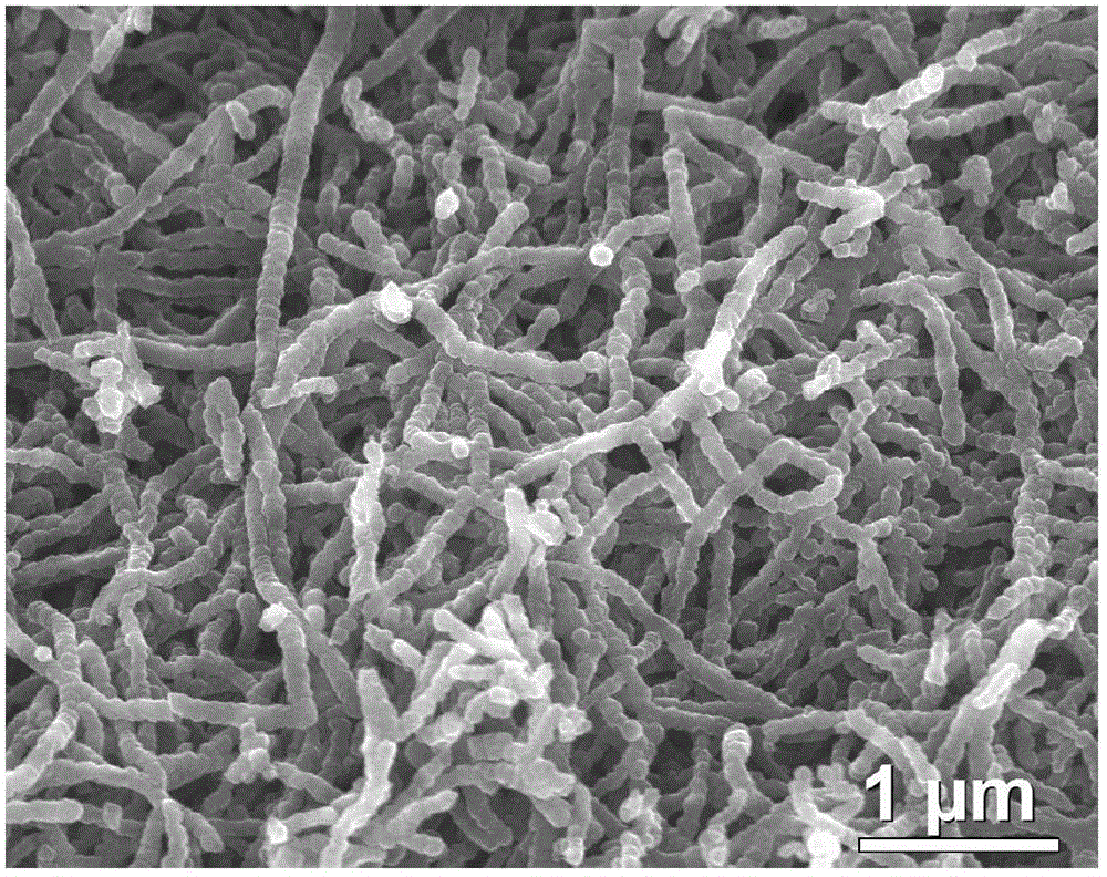 Chiral mesoporous carbon nanometer fiber and preparation method of chiral mesoporous carbon nanometer fiber