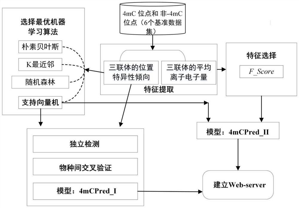 Prediction method for identifying 4-methylcytosine site