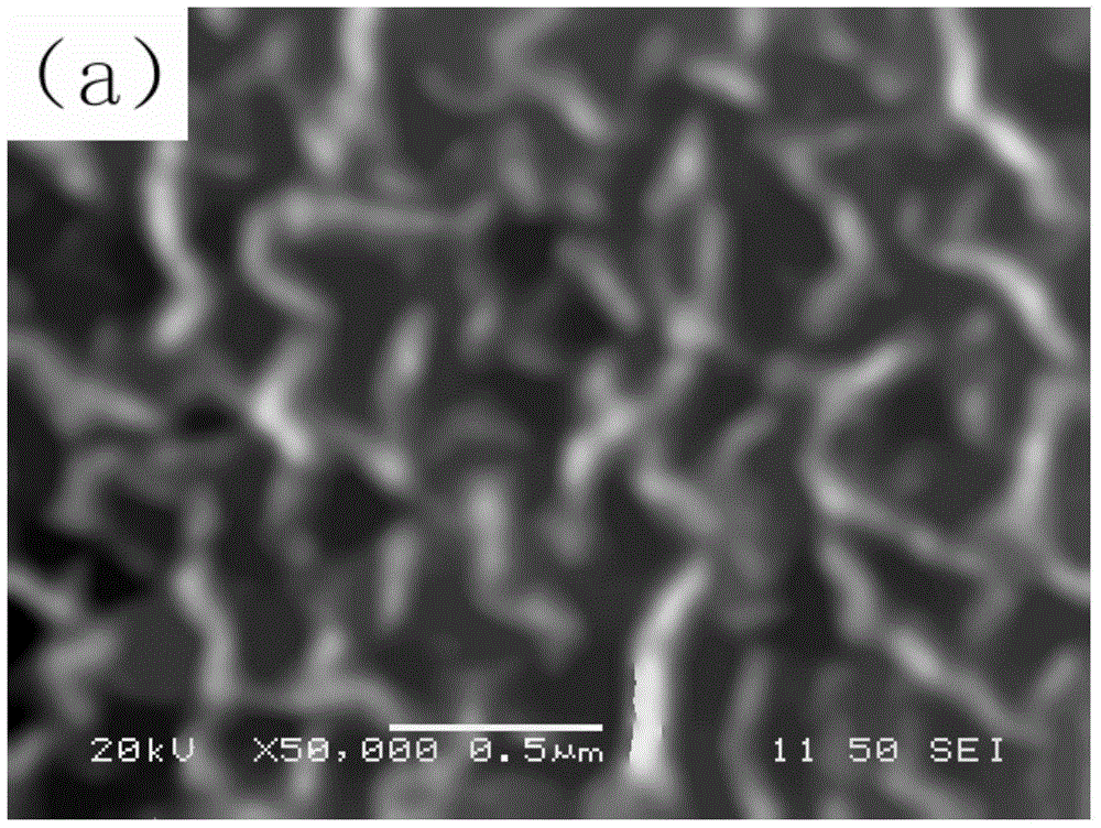 Reticular porous heavy metal adsorption material loaded with nano-iron oxide and preparation method thereof