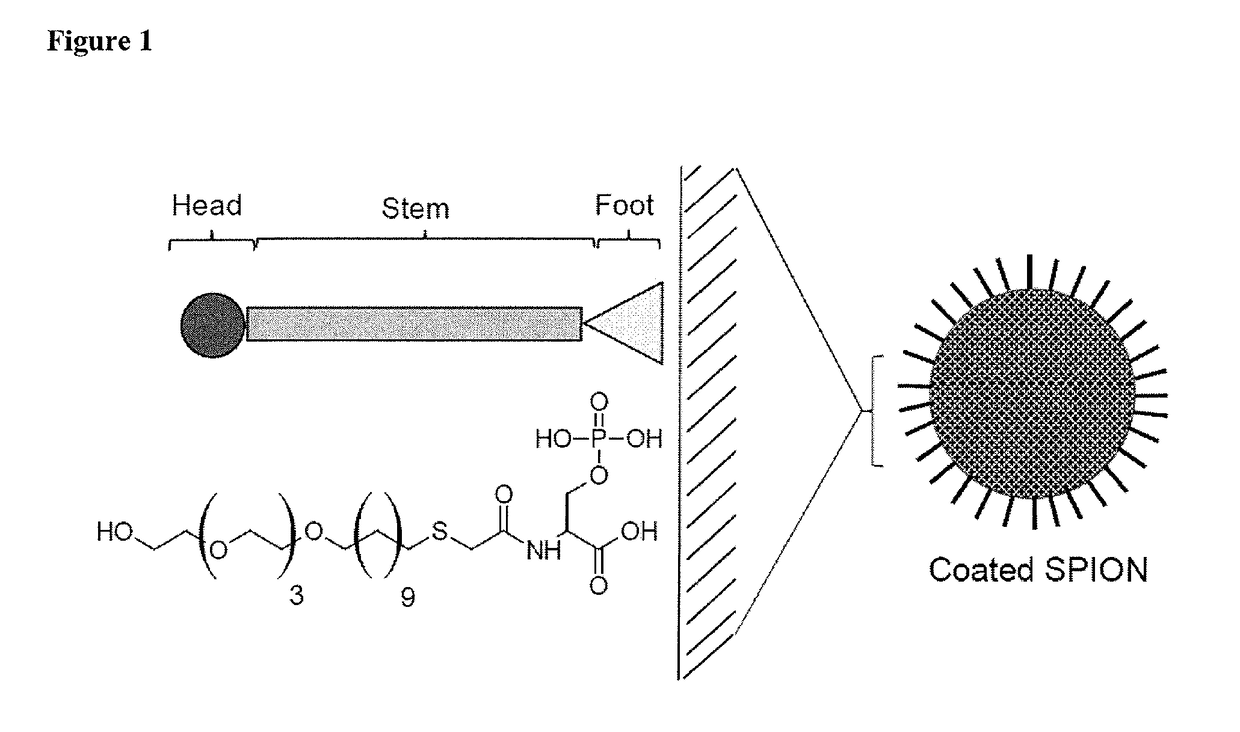 Coating for metal nanoparticles