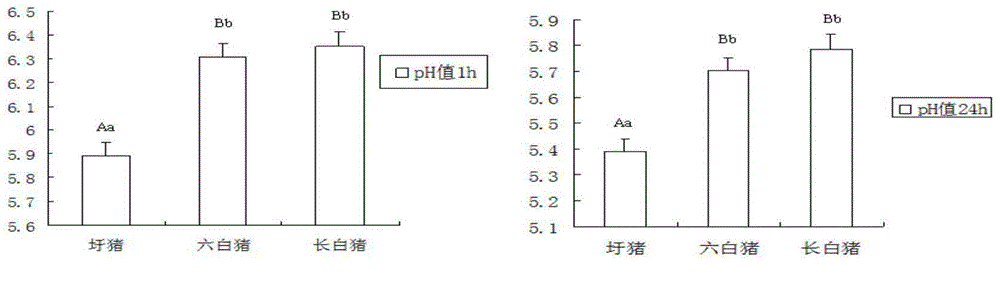 Screening method of Anhui local pig breed meat quality trait candidate genes