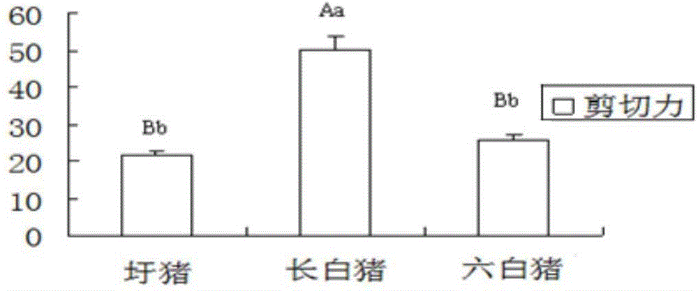 Screening method of Anhui local pig breed meat quality trait candidate genes
