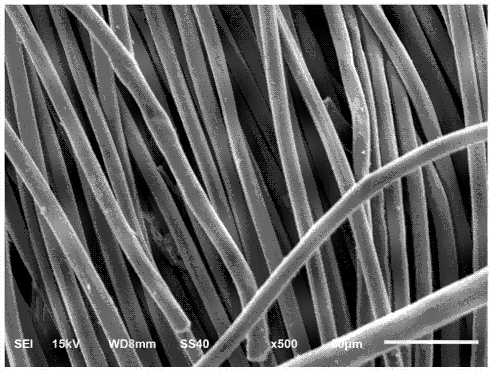 Bifunctional electrode with nitrification and denitrification activity, preparation method and application thereof