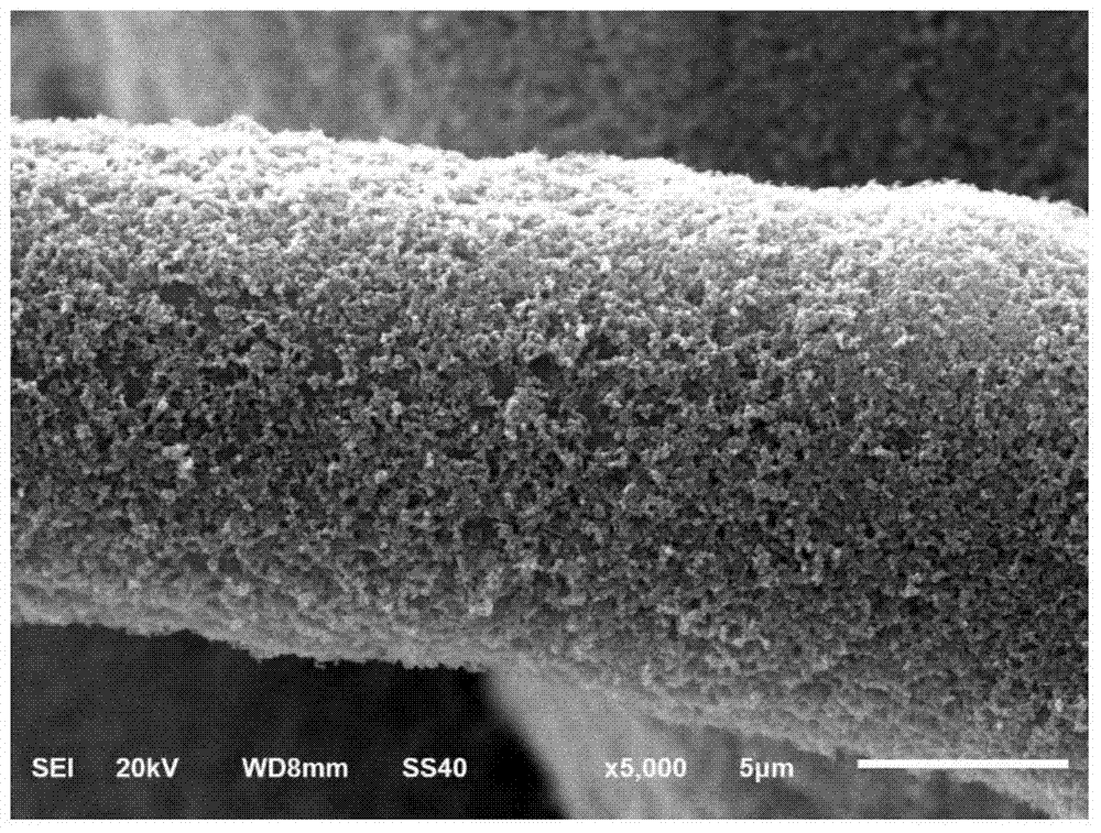 Bifunctional electrode with nitrification and denitrification activity, preparation method and application thereof