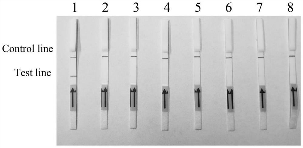 A specific detection target of Phytophthora syringae psyri_s00018g00015.1 and its application