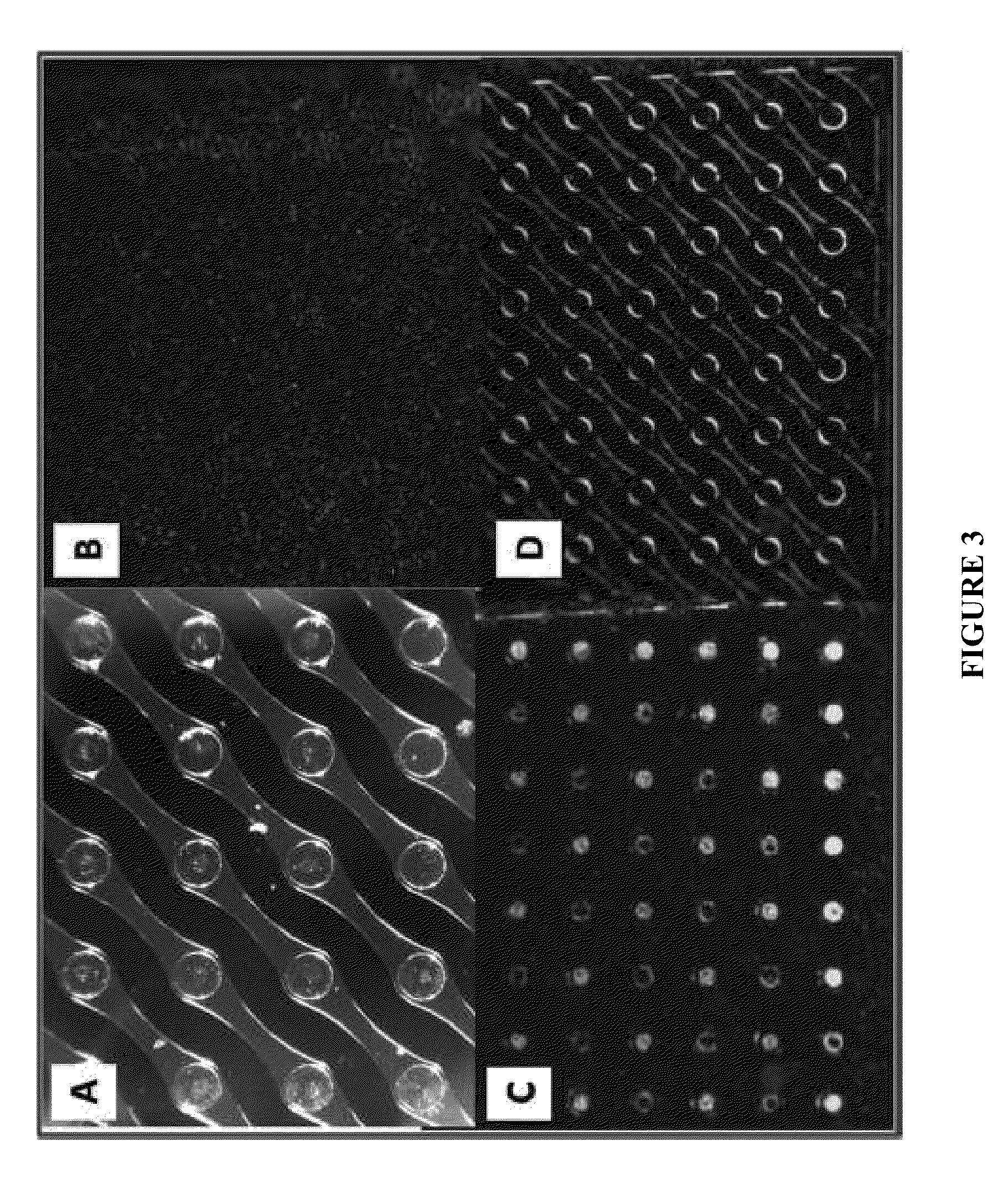 Nucleic acid sample preparation