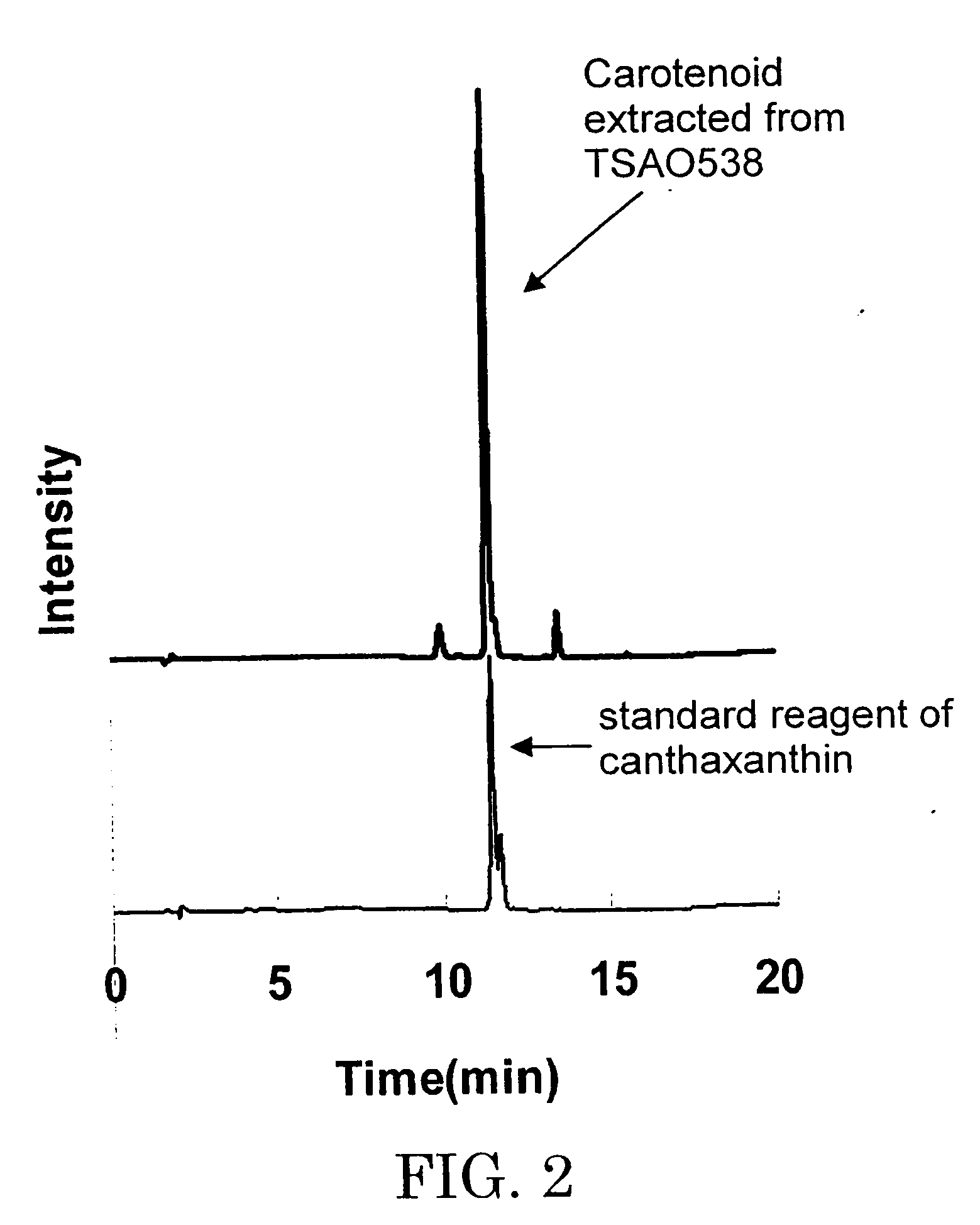 Novel microorganism and method for producing carotenoid using the same