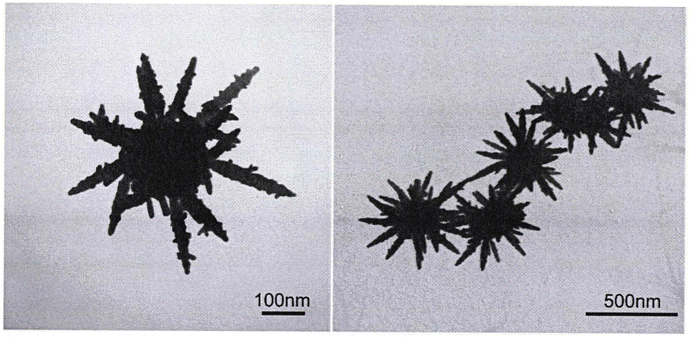 Structure and preparation method for magnetic sliver-flower nano-particles