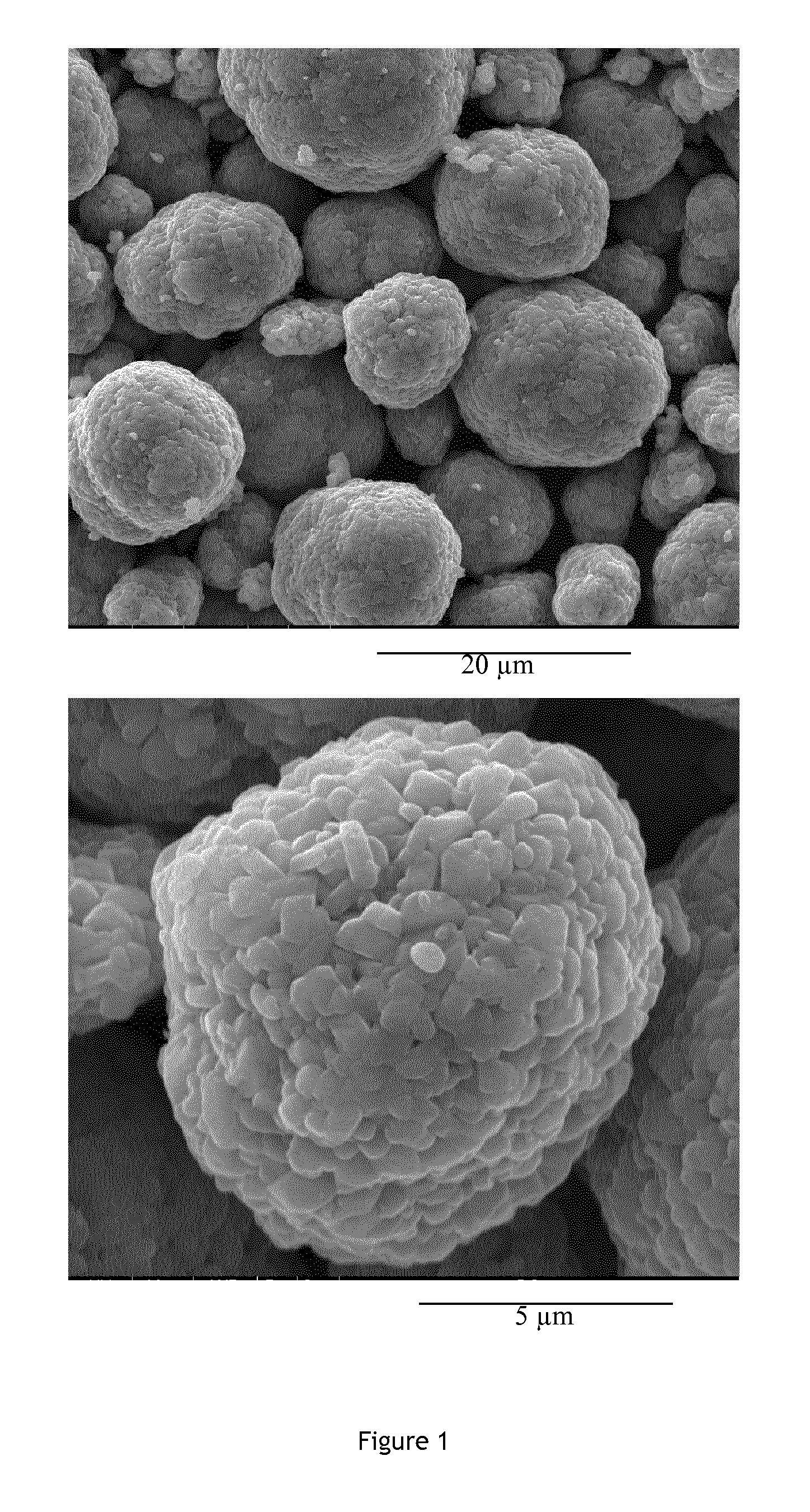 Positive Electrode Material Having a Size Dependent Composition