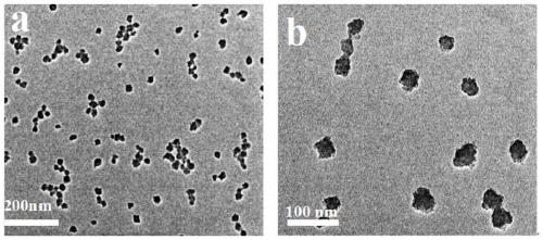 A kind of preparation method of superhydrophobic coating and its obtained coating and the application of preparing highly transparent superhydrophobic coating