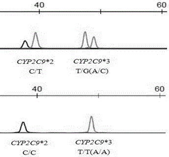 Primer and method for simultaneously detecting polymorphism of CYP2C*2 and CYP2C*3 genes
