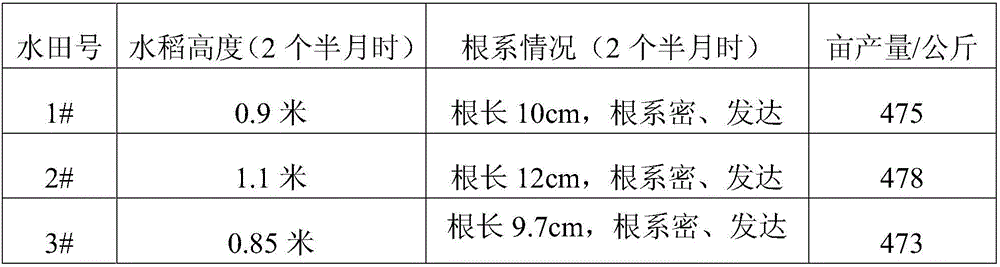 Fertilizer for promoting growth of rice